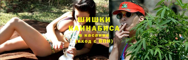 соль ск Зеленодольск