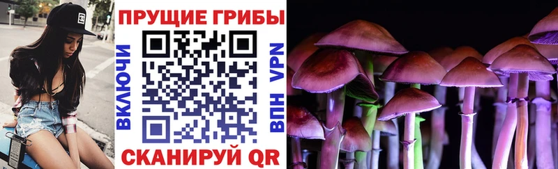 Галлюциногенные грибы ЛСД  купить наркоту  Елизаветинская 